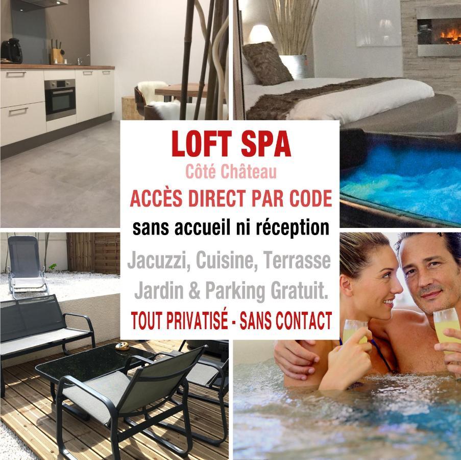 Loft Spa - Cote Chateau. カルカソンヌ エクステリア 写真